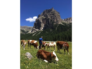 Appartamento per vacanze Wolkenstein in Gröden Ambiente 22