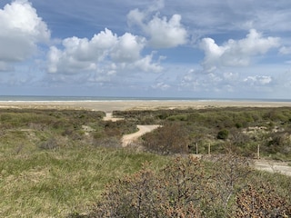 Maison de vacances Renesse Environnement 29