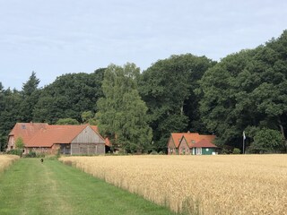 Casa de vacaciones Dötlingen Grabación al aire libre 7