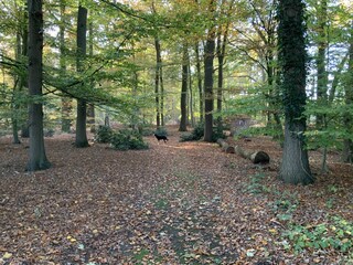 Casa per le vacanze Dötlingen Registrazione all'aperto 15