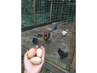 Casa per le vacanze Dötlingen Ambiente 26