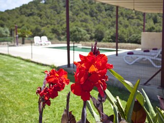 Villa Son Servera Registrazione all'aperto 11