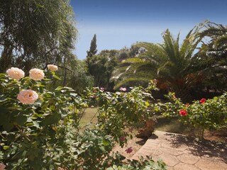 Casa per le vacanze Cala Millor Registrazione all'aperto 17