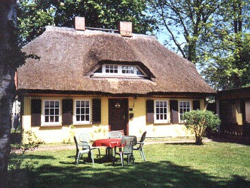 Holiday house with thatched roof