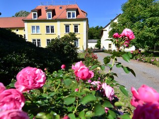 Ferienwohnung - Oberlausitz