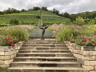 Weingut Zimmerling Dresden