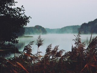 Herbstnebel über dem Netzowsee