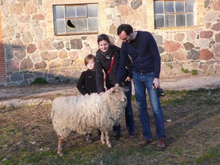 Die Schafe lieben Besuch!