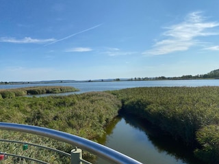 Boddenlandschaft wunderbar zum Radfahren