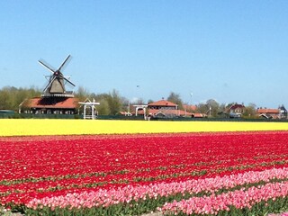 Casa per le vacanze Burgerbrug Ambiente 16
