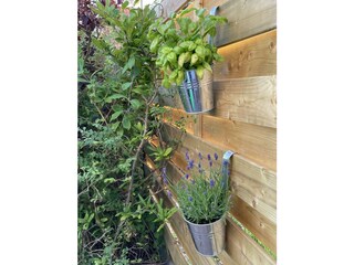 komplett eingezäunter Garten