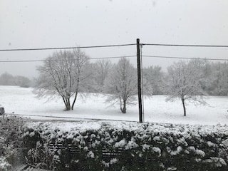 winterlicher Ausblick auf die Wiese gegenüber