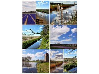 bollenvelden, omgeving egmond en heiloo