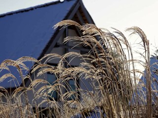 Winterlich