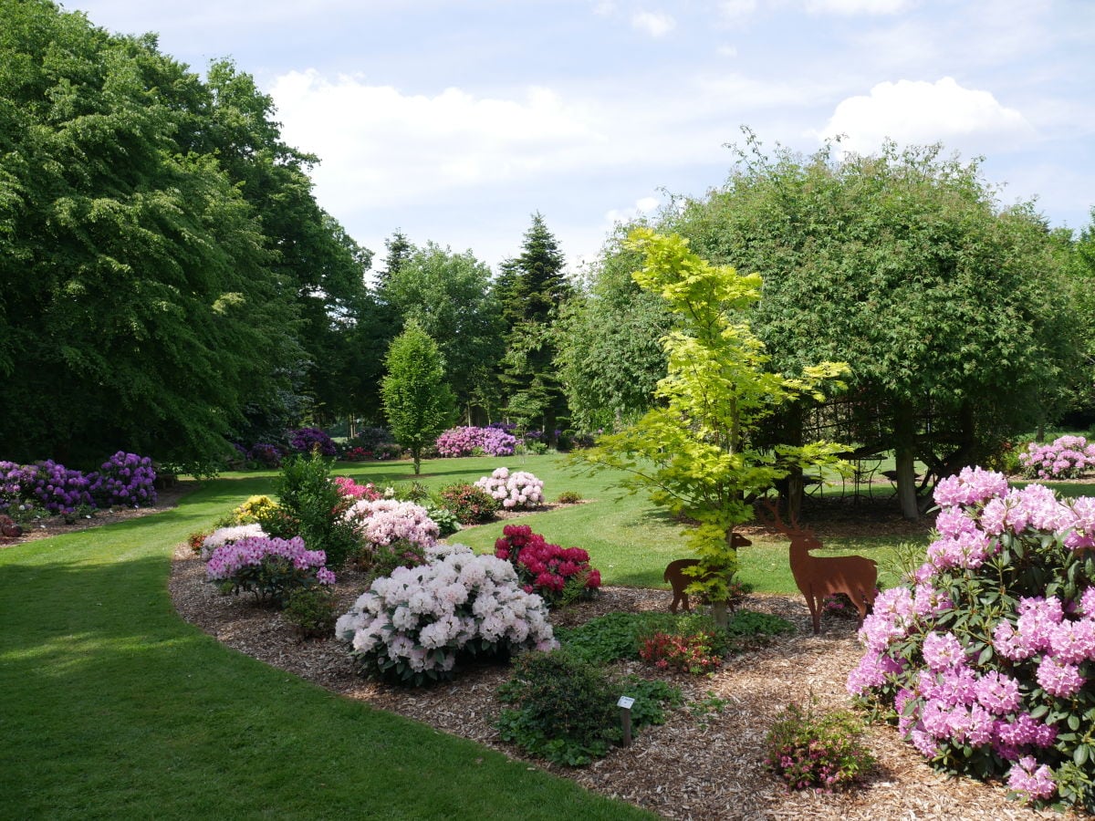 Waldgarten