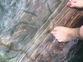 Appartamento per vacanze Krumpendorf Ambiente 17