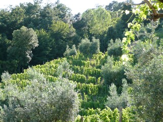 Appartamento per vacanze Montecatini Val di Cecina Ambiente 11