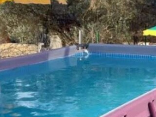 Maison de vacances Murvica  17