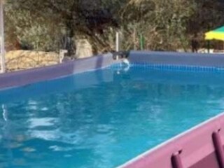 Casa de vacaciones Murvica  19