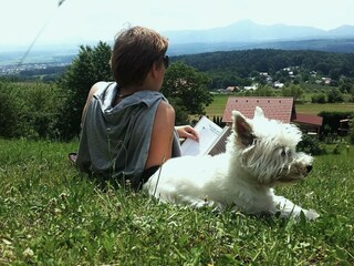 Appartement Zreče  28