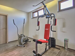 Villa Svetvinčenat Caratteristiche 31