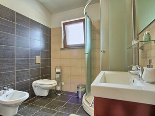 Villa Svetvinčenat Caratteristiche 27