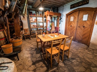 Villa Pišece Features 15