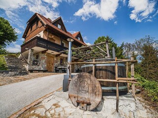 Villa Pišece Außenaufnahme 1