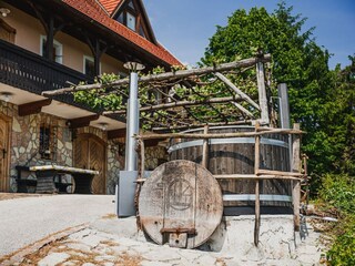 Villa Pišece Enregistrement extérieur 2