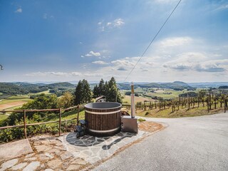 Villa Pišece Außenaufnahme 5