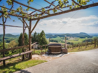 Villa Pišece Outdoor Recording 7