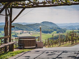 Villa Pišece Grabación al aire libre 9