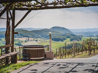 Villa Pišece Outdoor Recording 9