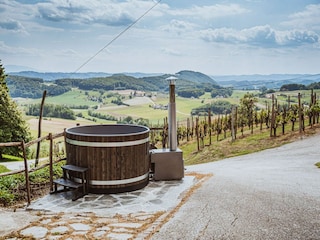 Villa Pišece Outdoor Recording 10