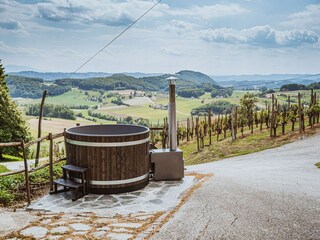 Villa Pišece Registrazione all'aperto 10