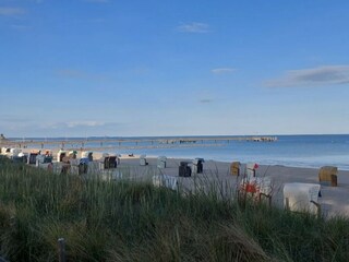 Maison de vacances Buchholz bei Röbel Environnement 58