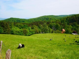 Apartamento Bad Pyrmont Entorno 29