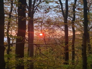 Appartamento Bad Pyrmont Ambiente 30