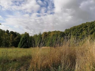 Appartement Bad Pyrmont Omgeving 35