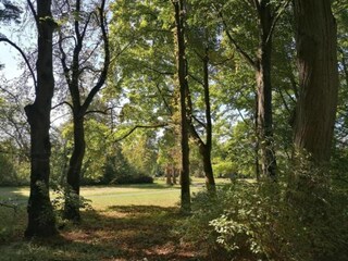 Appartement Bad Pyrmont Environnement 36