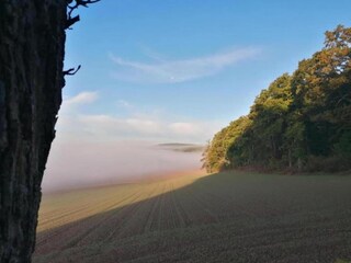 Apartment Bad Pyrmont Environment 19