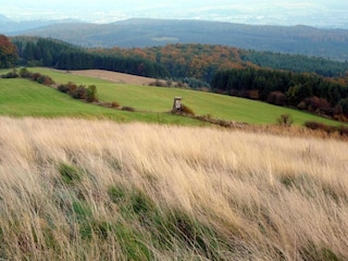 Apartamento Bad Pyrmont Entorno 22