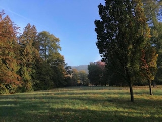 Apartment Bad Pyrmont Environment 23