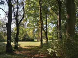 Apartment Bad Pyrmont Umgebung 36