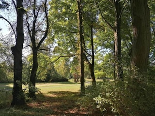 Appartement Bad Pyrmont Omgeving 24