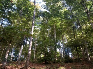 Apartment Bad Pyrmont Environment 26