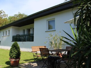 The garden