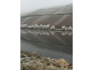 Winter morning at the river