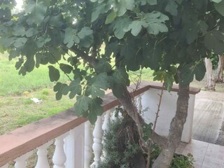 Appartement Vrsi Buitenaudio-opname 2