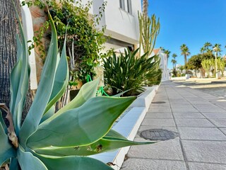 Apartamento Roquetas de Mar Entorno 39